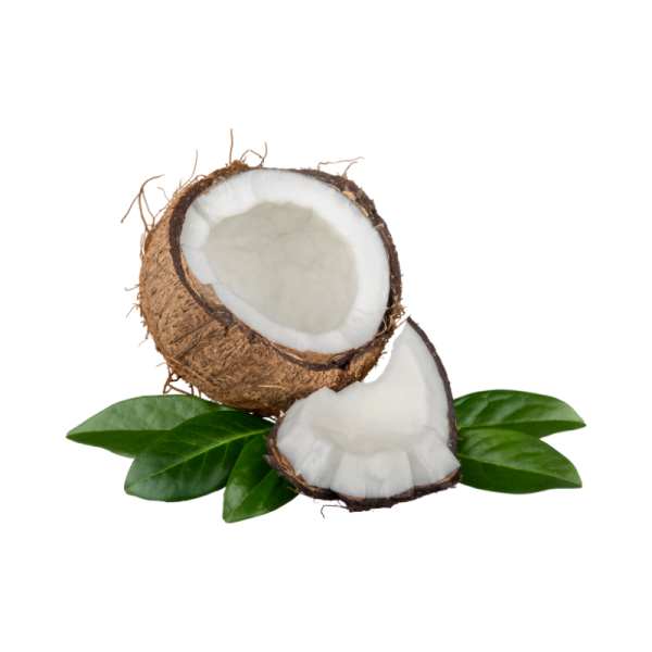 ქოქოსი