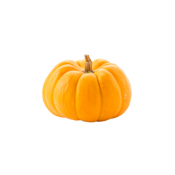 გოგრა