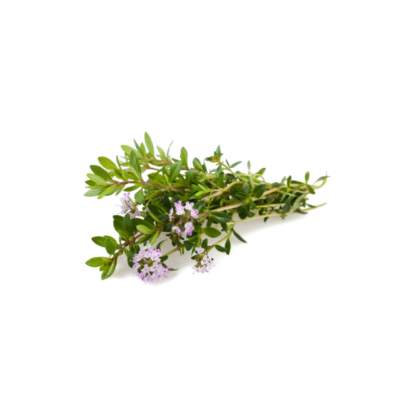 ქონდარი