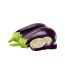 ბადრიჯანი – Eggplant _ Aubergine