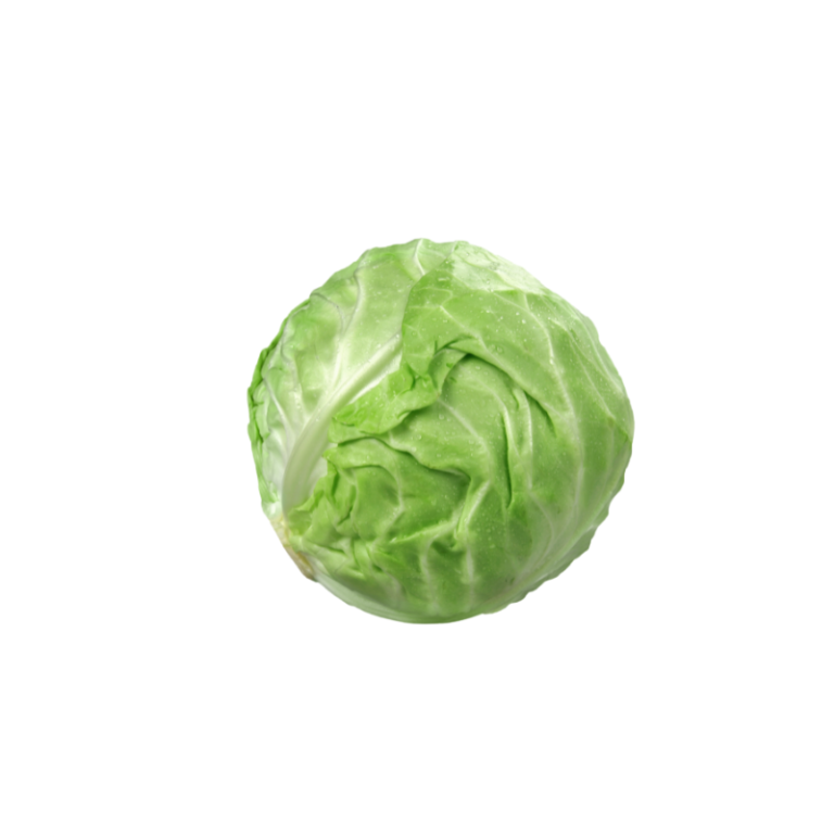 კომბოსტო – Cabbage
