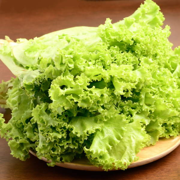 სალათის ფურცელი – Lettuce