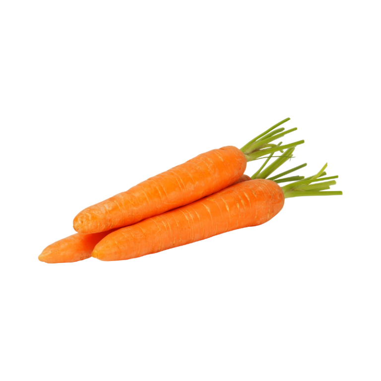სტაფილო – Carrot 1