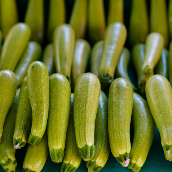 ყაბაყი – Zucchini _ Courgette