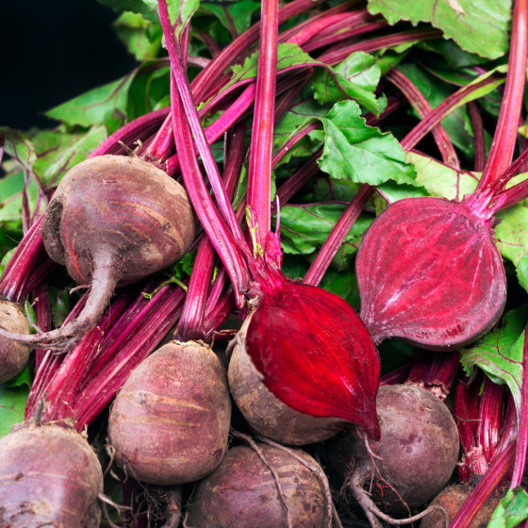 ჭარხალი – 1 Beetroot