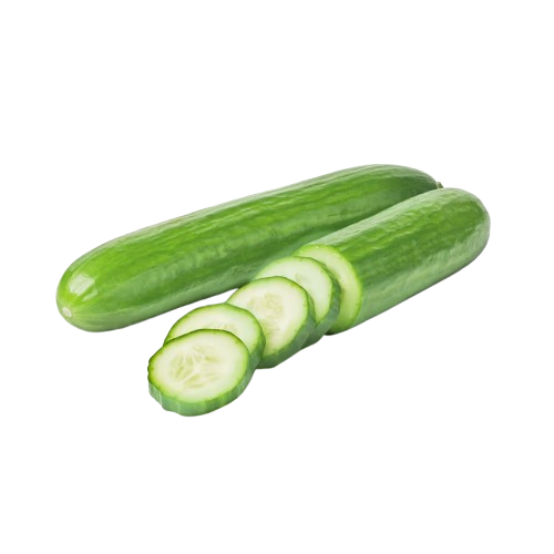 შუშა კიტრი