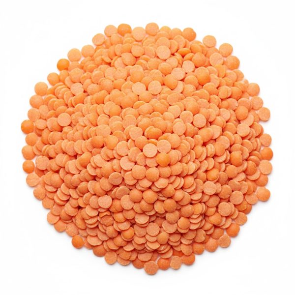 ოსპი წითელი