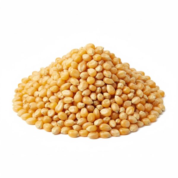 ბატი-ბუტი