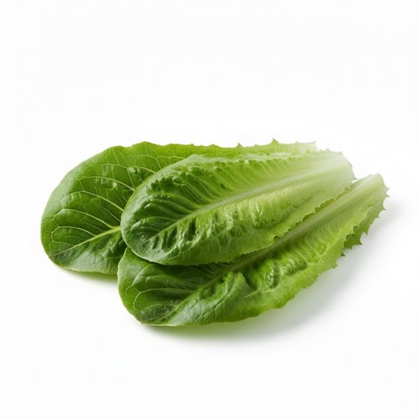 სალათის ფურცელი რომანო